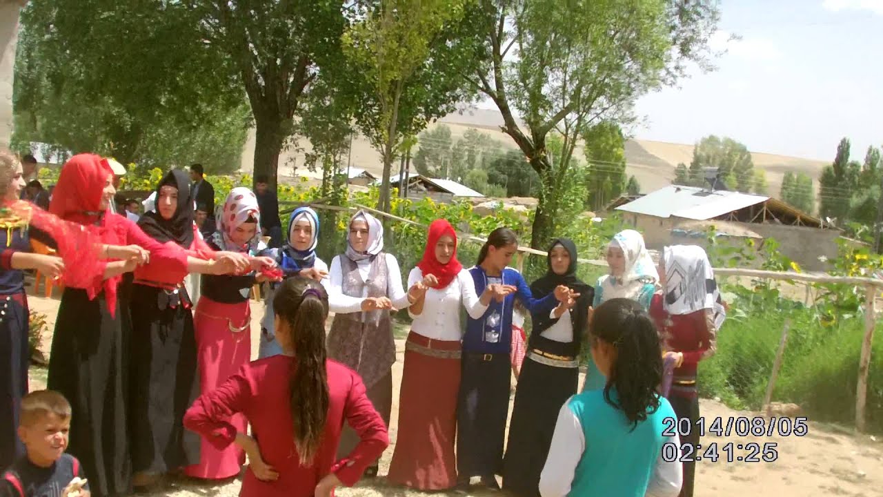 sariveli duğun R Y