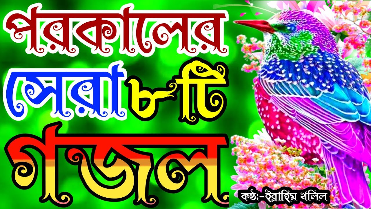মরনের স্মরণ করা খুব দুঃখের সেরা ৮টি গজল | new gojol | new islamic song | bangla gojol | gojol | গজল