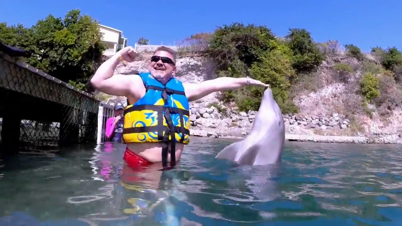St Kitts Dolphin Adventure
