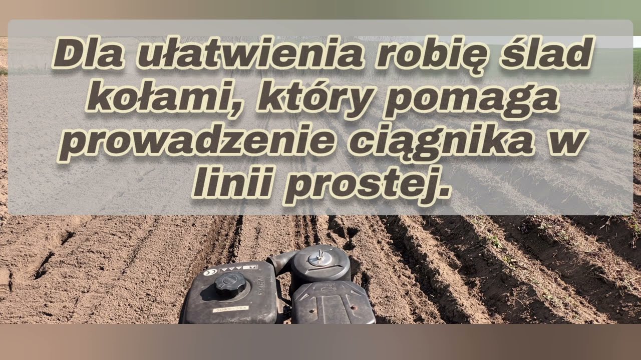 W jaki sposób sądzę ziemniaki pod odsypnik do glebogryzarki ciągnika jednoosiowego. @KFMET 