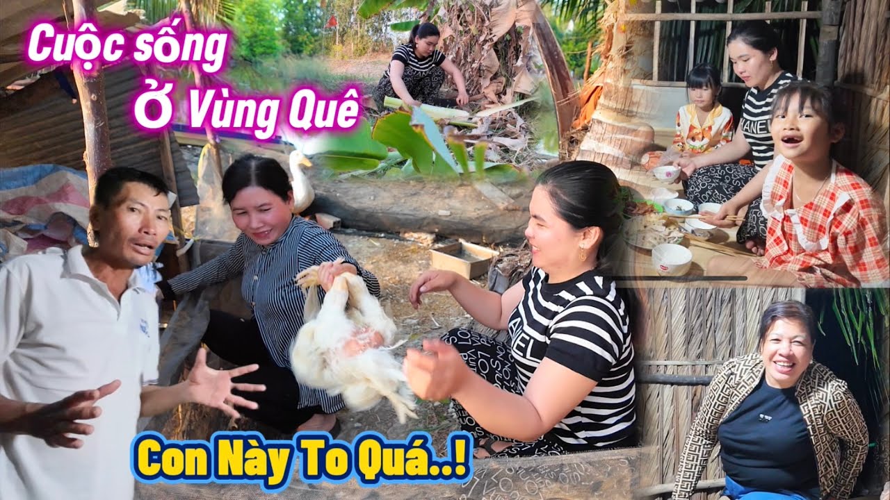 Lên Nhà Cha Mẹ Vợ Làm Gà Hấp Chuối Cây Và Món Cá Dứa Kho Cà Siêu Ngon…Để Cả Gia Đình Cùng Ăn