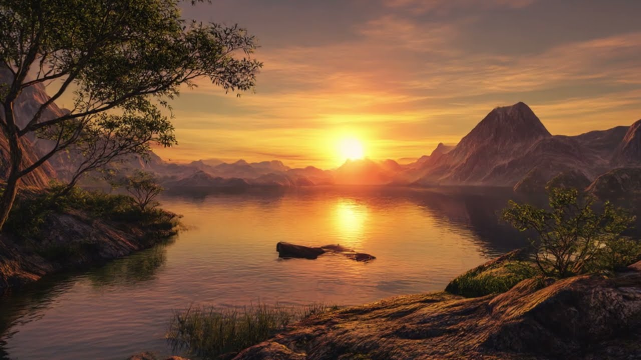 Deeply Calming Meditation Music | Relaxing Contemplative Moods for Sleep & Mindfulness