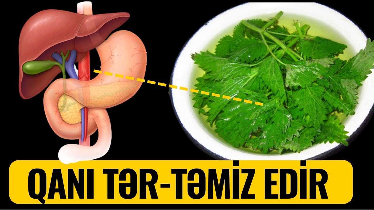 Bədəni 1 Həftəyə İltihabdan Təmizləyir