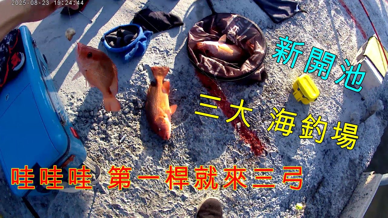 鹿港 三大 海釣場 第一部開池囉等好久了衝衝衝 8/22當天