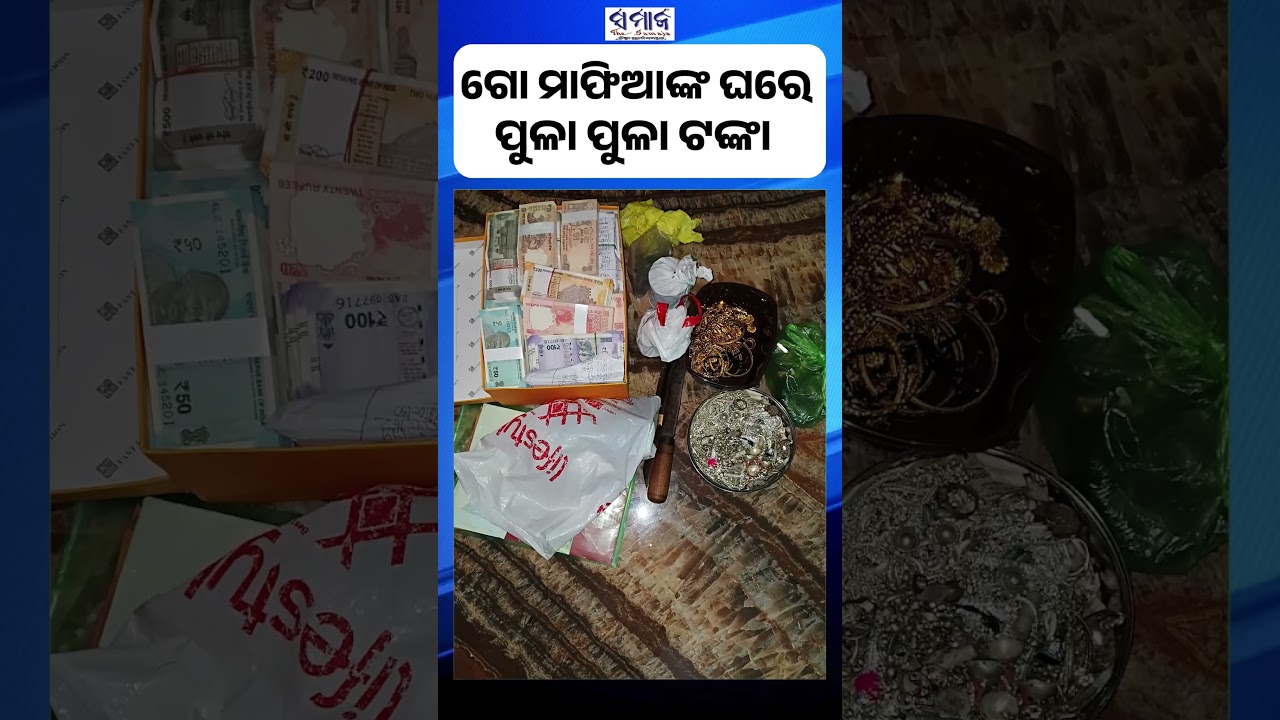 Raids on cow mafia houses in Bhadrak and Mayurbhanj #gomafia #bhadrak #police #samajalive