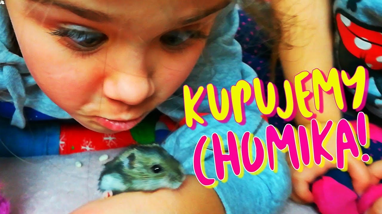 KUPUJEMY CHOMIKA !!! - Świat Matyldy