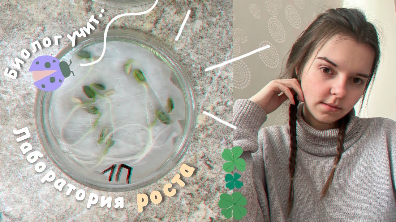 Биолог и его МИКРОКЛОНЫ 🌱 | студенческие будни и рутина с пользой