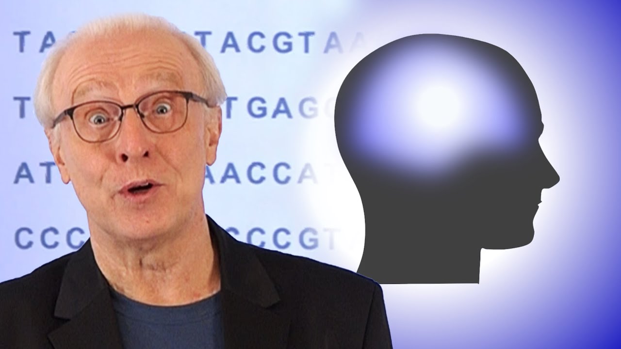 INFORMATIONSERHALTUNG | #4 Das rätselhafte Gewebe der Wirklichkeit