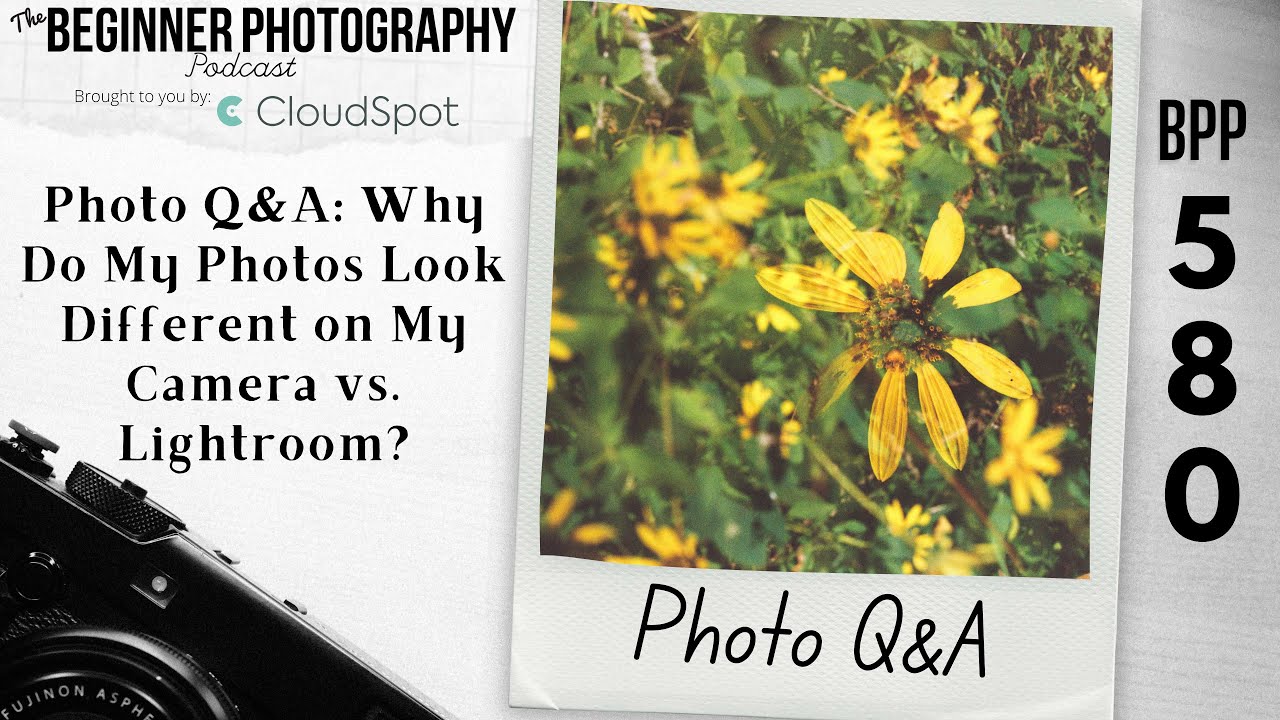 Photo Q&A: Why Do My Photos Look Different on My Camera vs. Lightroom?