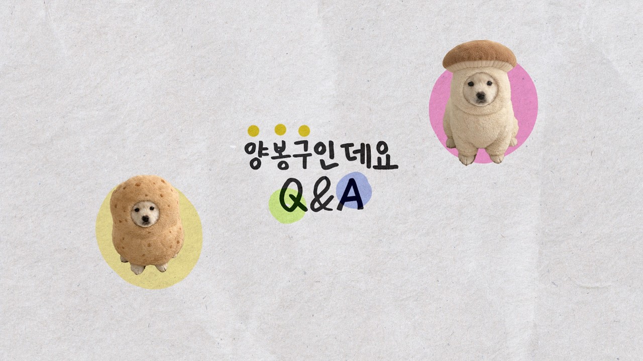🐶 양봉구가 직접 대답하는 Q&A가 왔어요