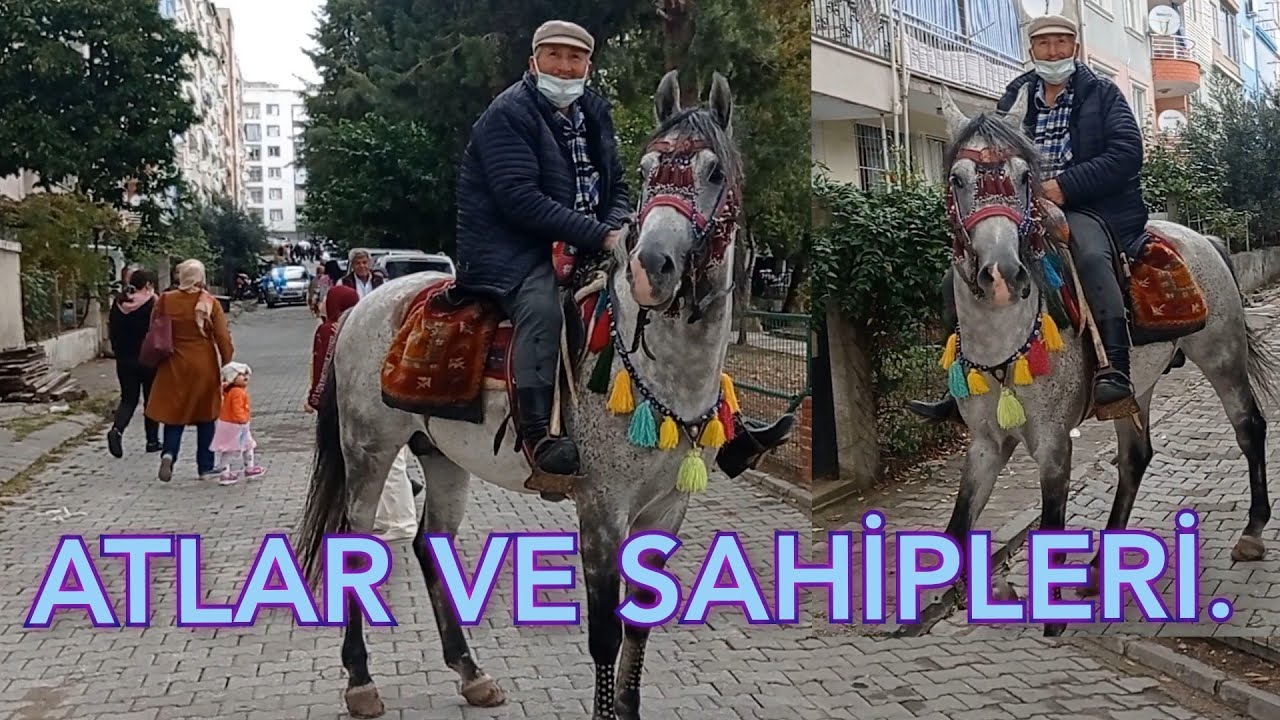 #rahvanatlar #cirit RAHVAN ATI VE SAHİBİ ABDULLAH İLHAN. 🐎 CİRİT ATI. Gördes/MANİSA