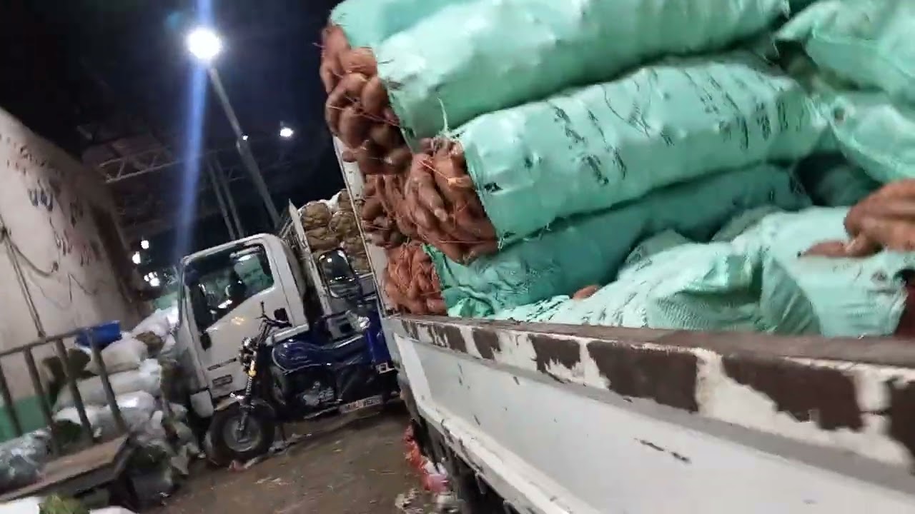 وضع الخضار فى سوق العبور افهم واعرف مع عصمت 
