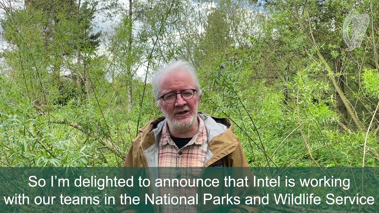 Restoring Blanket Bog in Wicklow