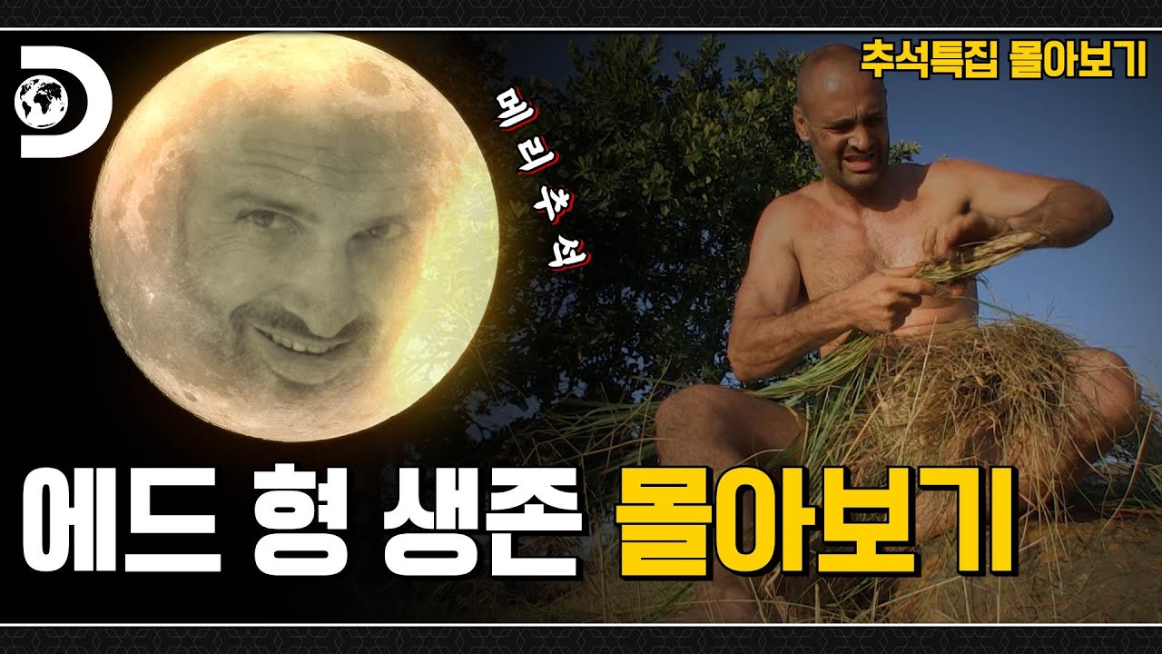 추석에 뭐해요?!🤓 잔잔한 에드 형 생존기 몰아보기 어때요🌝 [고독한 생존가 : 몰아보기]