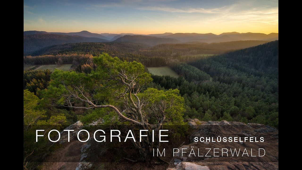 Fotografische Geschichten aus dem Pfälzerwald  | SCHLÜSSELFELS