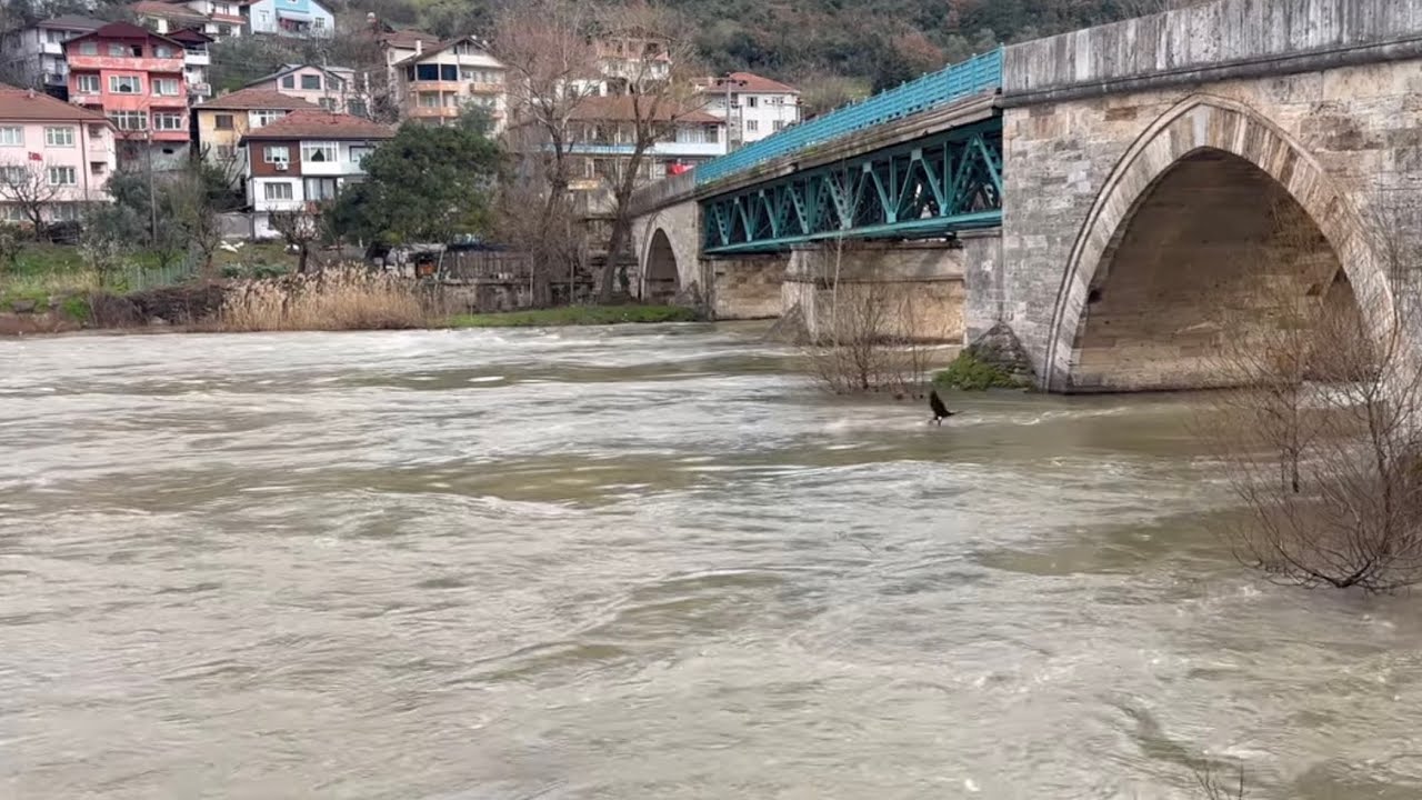 USTASINDAN “ ULU CAMİ ‘HAN İÇİ ÇARŞI PAZAR.🇹🇷👨‍🍳