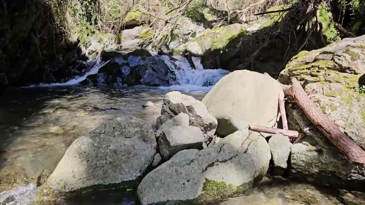 Ponte sul torrente Torbola tra Pontito e Stiappa