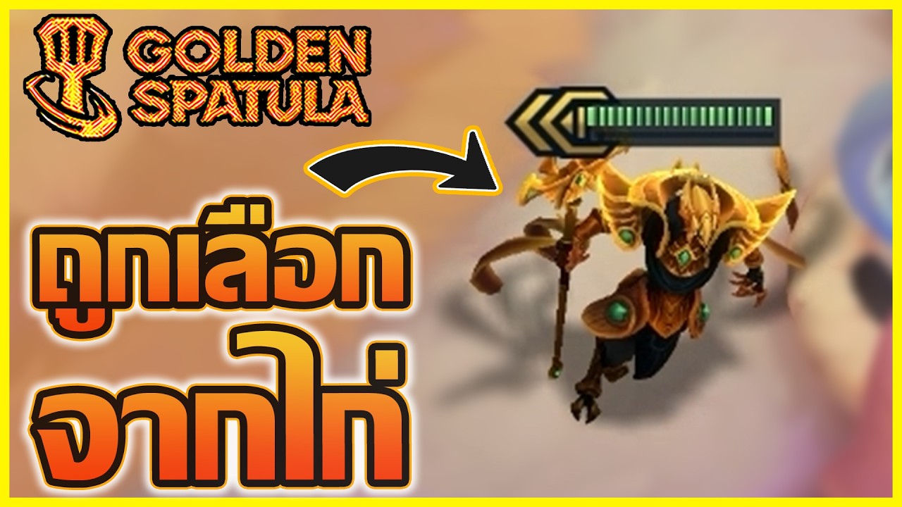 เมื่อผมไม่ได้เลือกไก่ตลอด แต่ไก่จะเลือกผมเสมอ!? : Golden Spatula