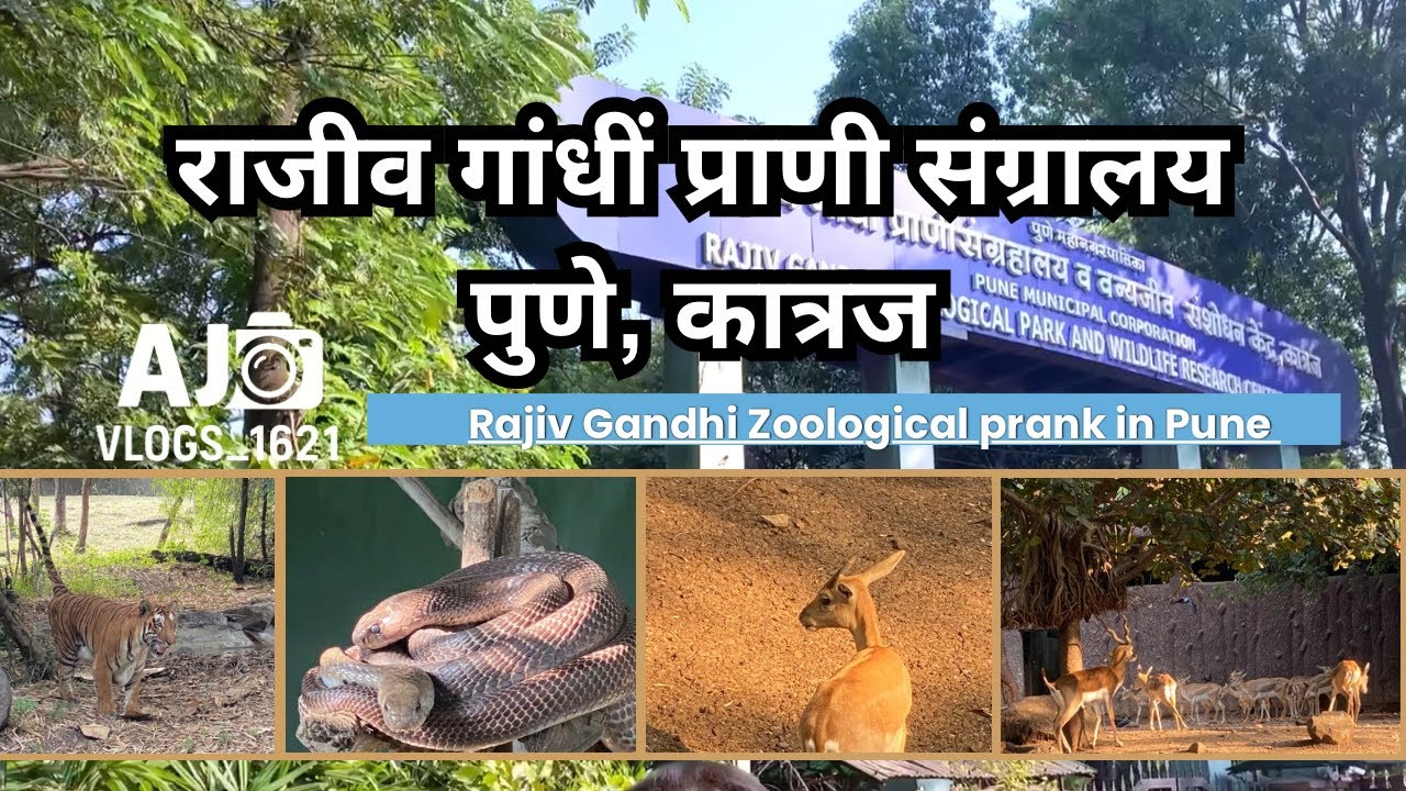 राजीवगांधी प्राणी संग्रालय पुणे,कात्रज || Pune || rajivgandhi Zoological Park Pune,Katraj #viral|Zoo