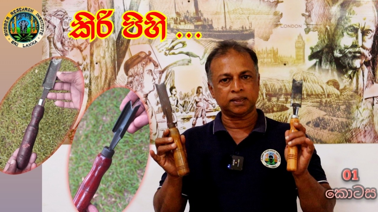 ශ්‍රී ලංකාව තුල භාවිතාවන කිරිපිහි සහ ඒ අතර වෙනස්කම්, Rubber Tapping Knives: Types & Key Differences