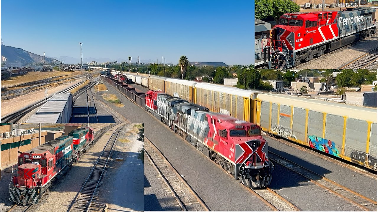 MUCHAS PATIERAS EN PATIO TORREÓN, TRENES DE CAMINO Y MUCHO MÁS!