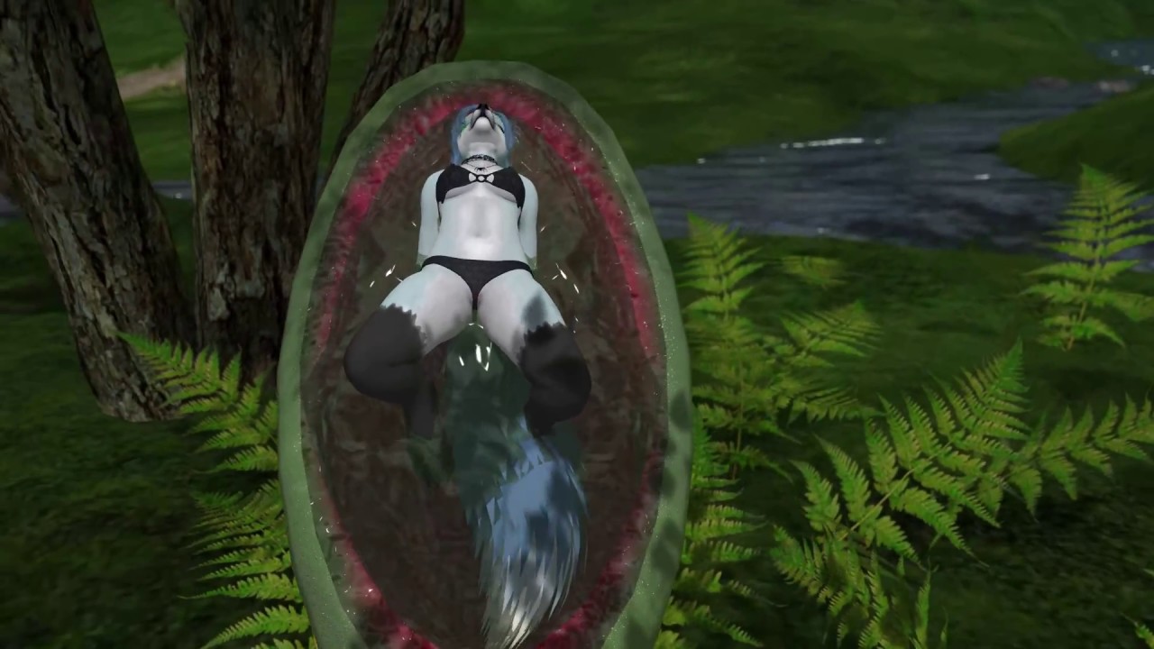 Blob Plant Promotional Video