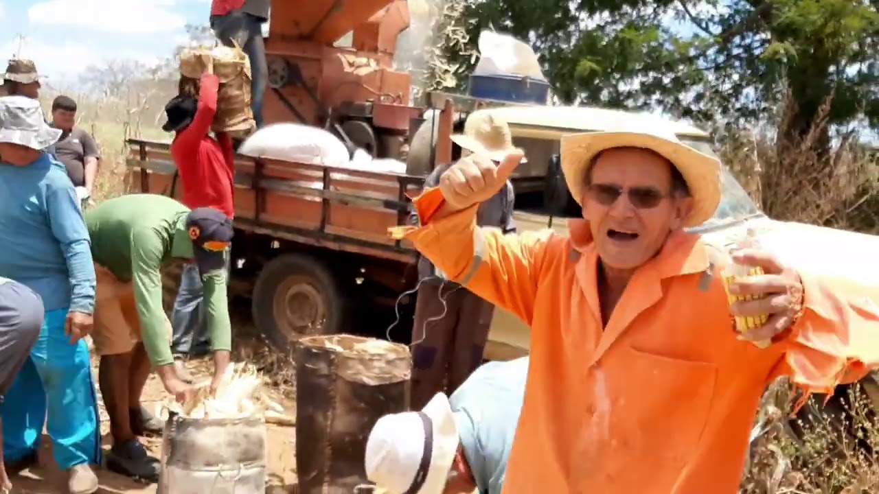 Bastidores: Seu Mané e Seu Antônio debulhando milho na máquina.