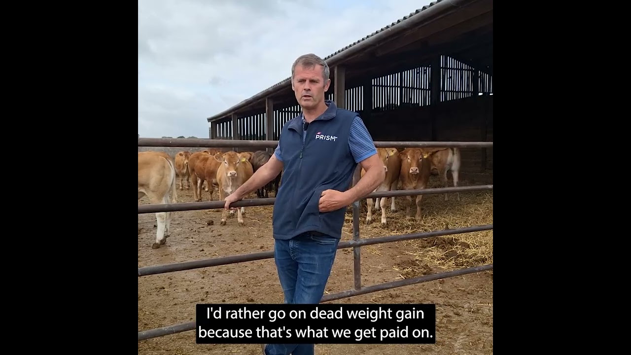 PRISM 2030 Farmer, Rob Rees