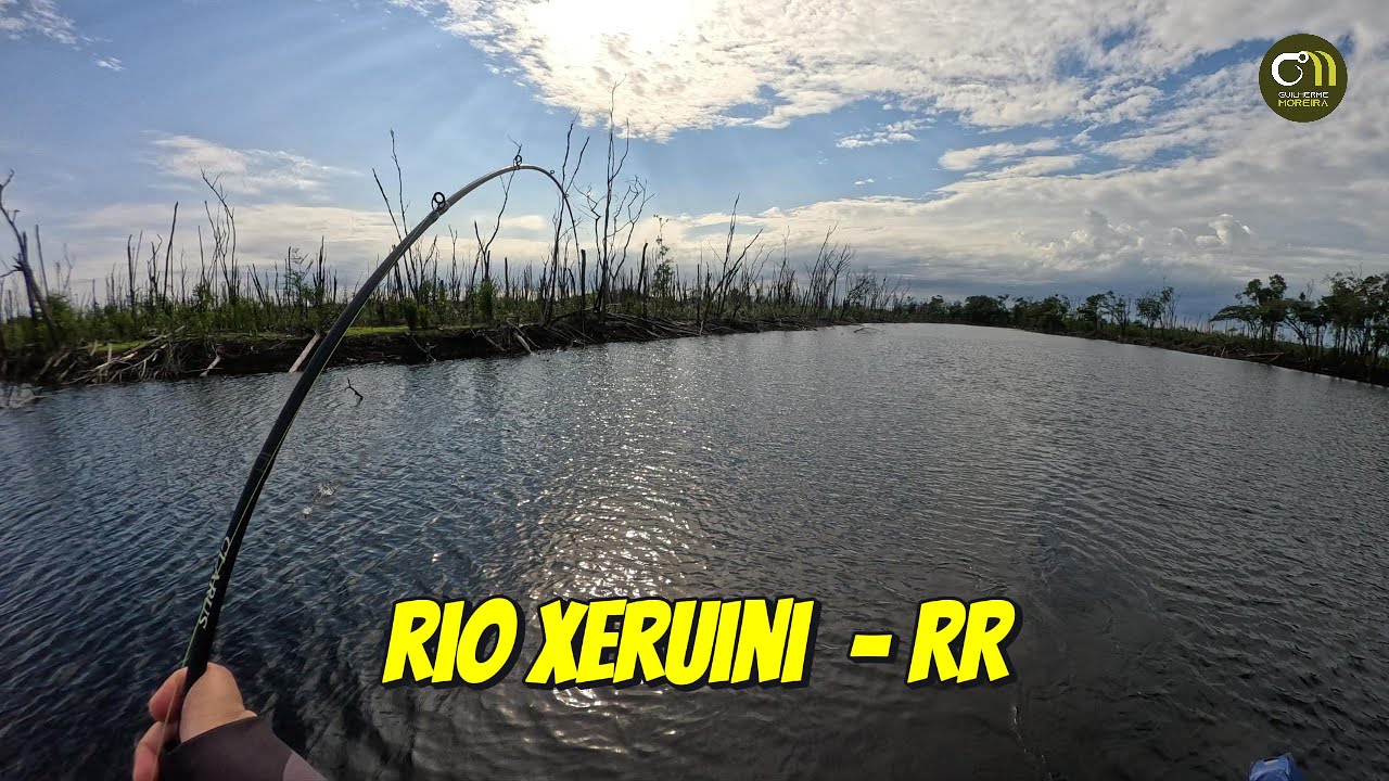 Pescaria no Rio Xeruini | Ele resolveu brigar!