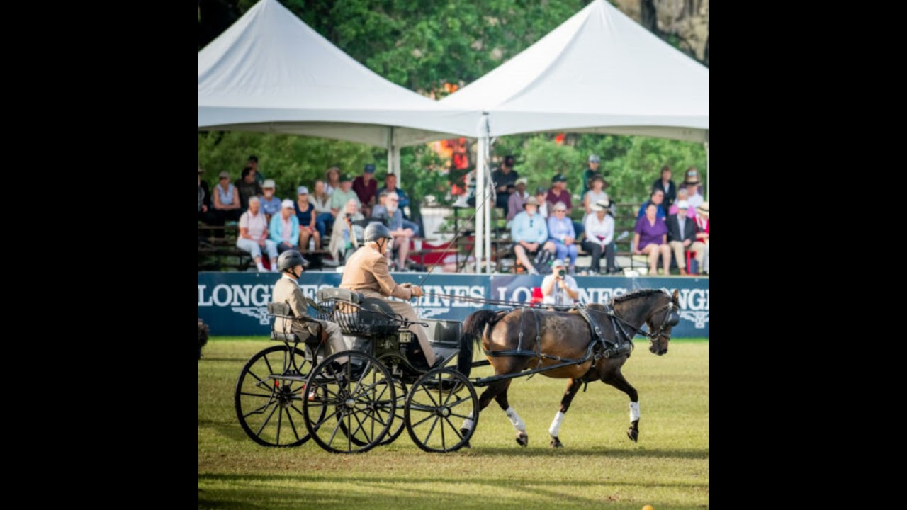 Horse Show Vacation, Ocala Edition