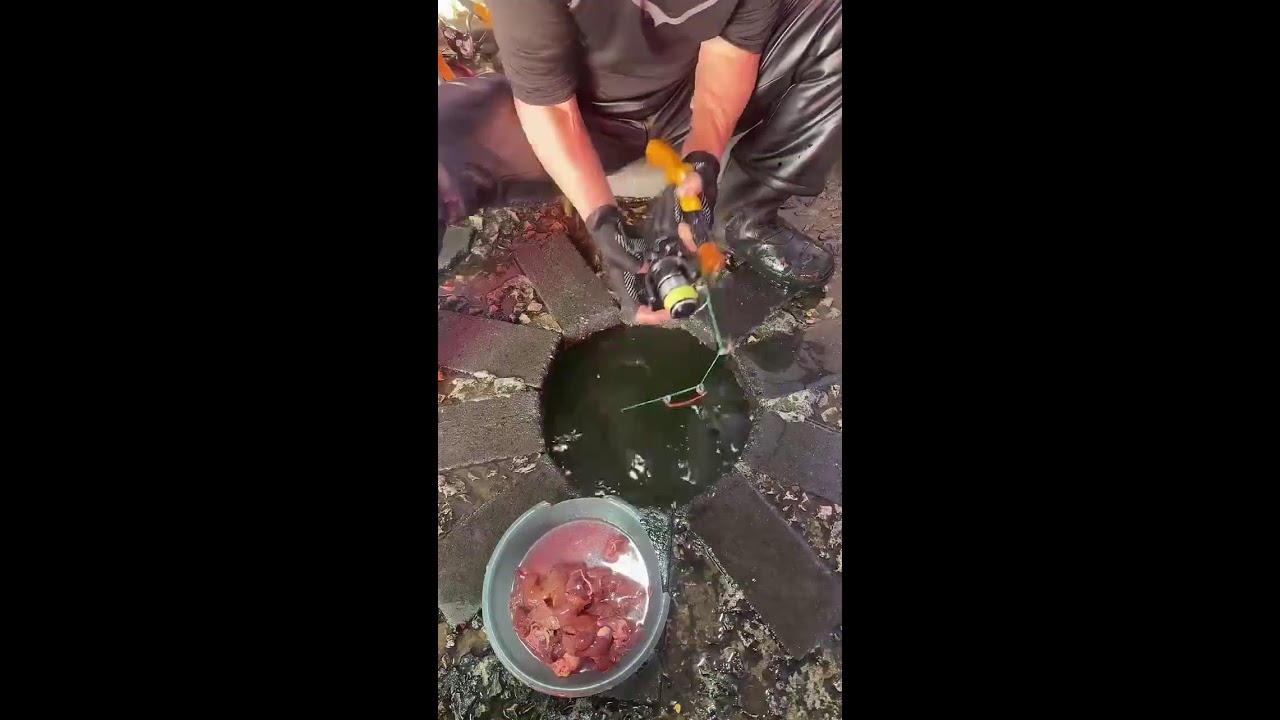 中国旅行直播 China Travel Live Streaming