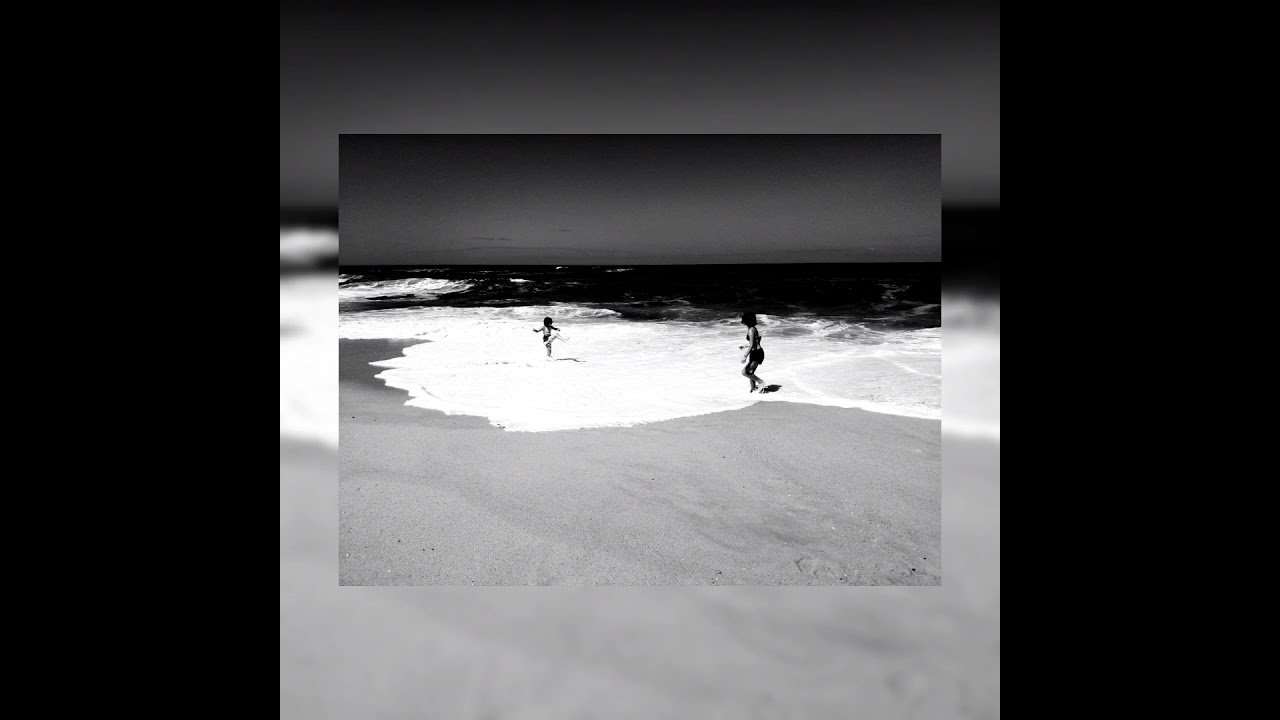 June - Coyotes (cover) - Travis Birds