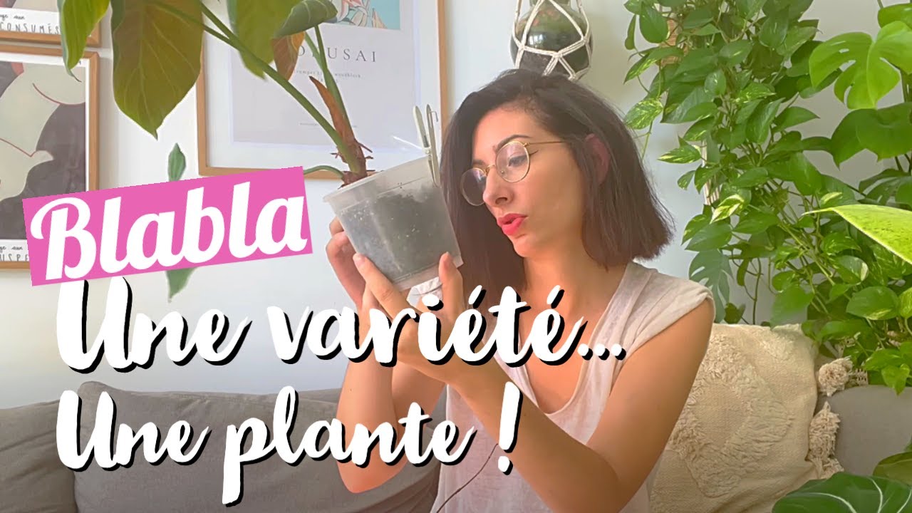 Si je ne devais en choisir qu'une...🌿😬