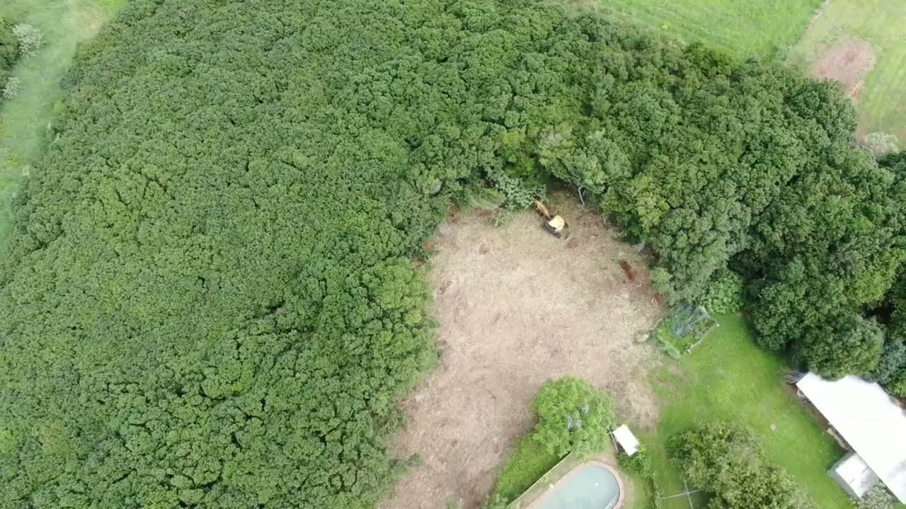 FAE BL1/EX Forestry Mulcher vs Thick Growth