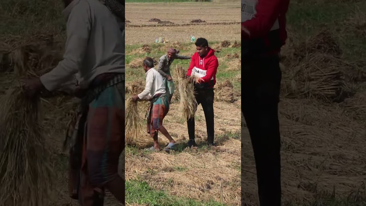 ফুল ভিডিও টি দেখুন আর মন খুলে হাসতে থাকুন 
