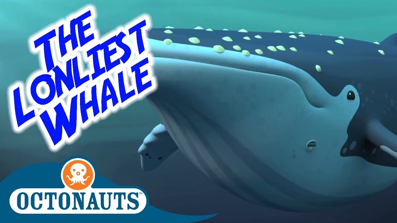 Octonauts - The Lonliest Whale | Full Episode | Cartoons for Kids