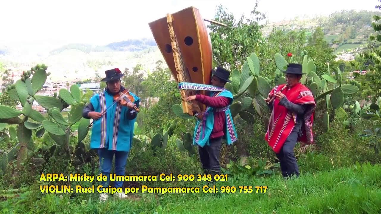 Picaflorcita de Umamarca - Pampamarquinito yana Ñawi