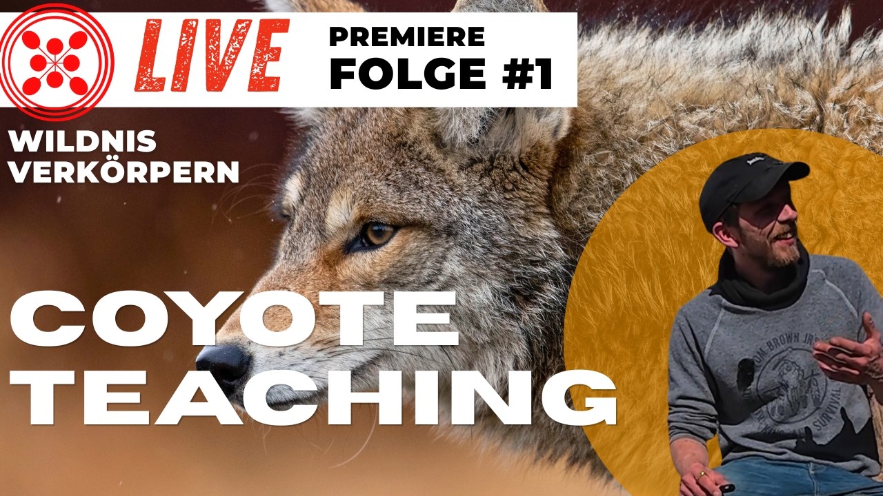 Wildnis Verkörpern | Coyote