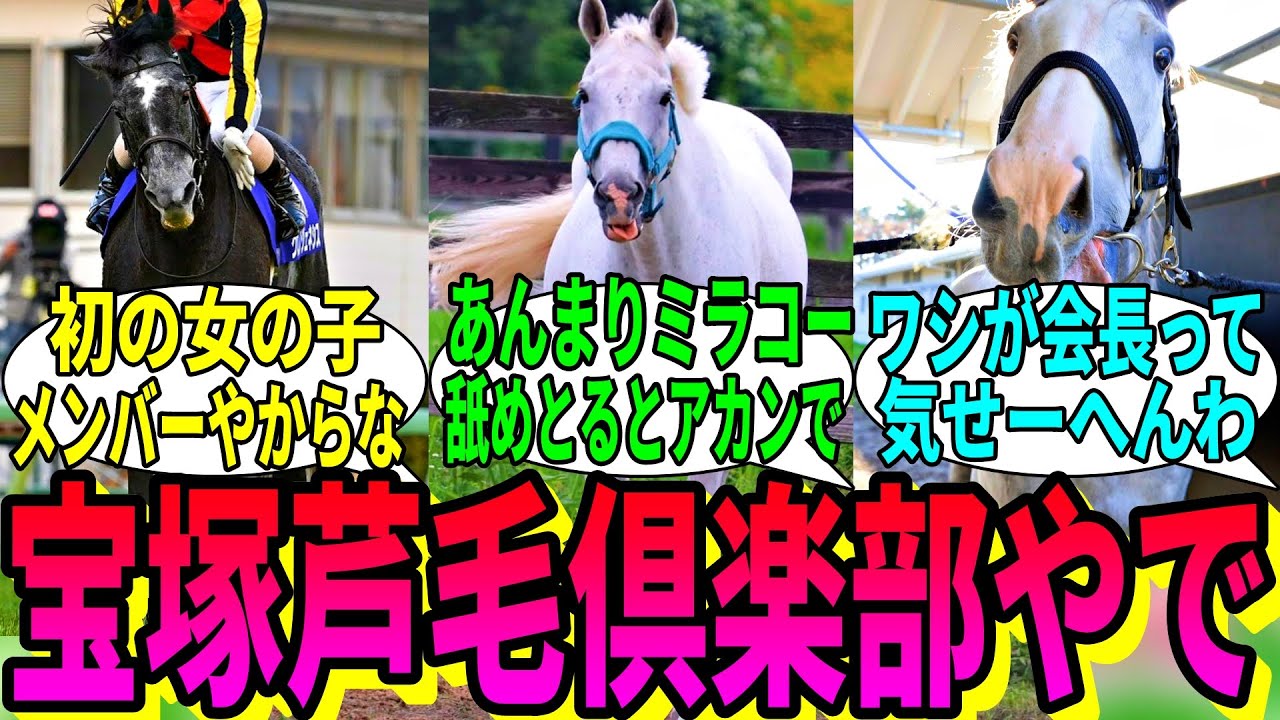 【競馬の反応集】「ここは宝塚芦毛倶楽部です」に対する視聴者の反応集
