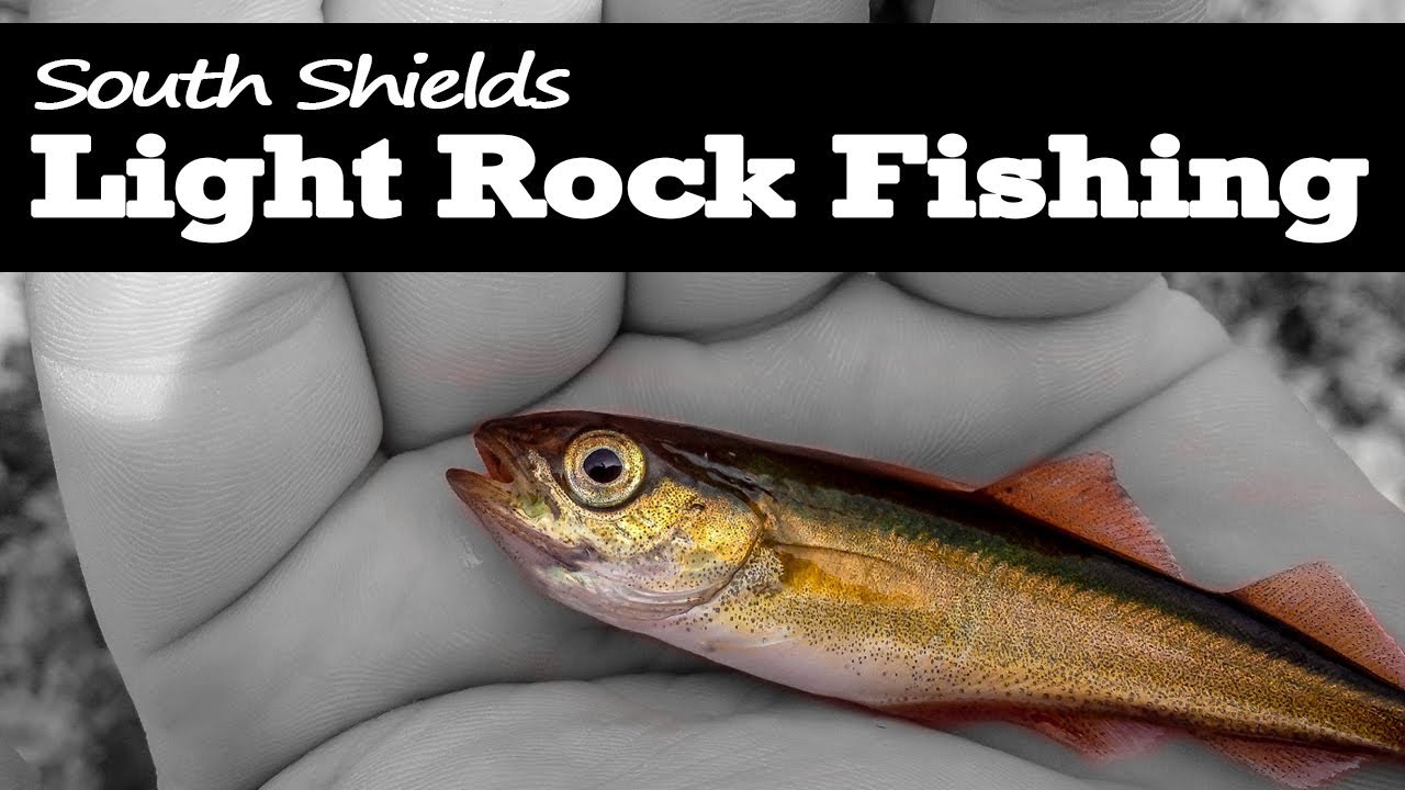 Light Rock Fishing South Shields