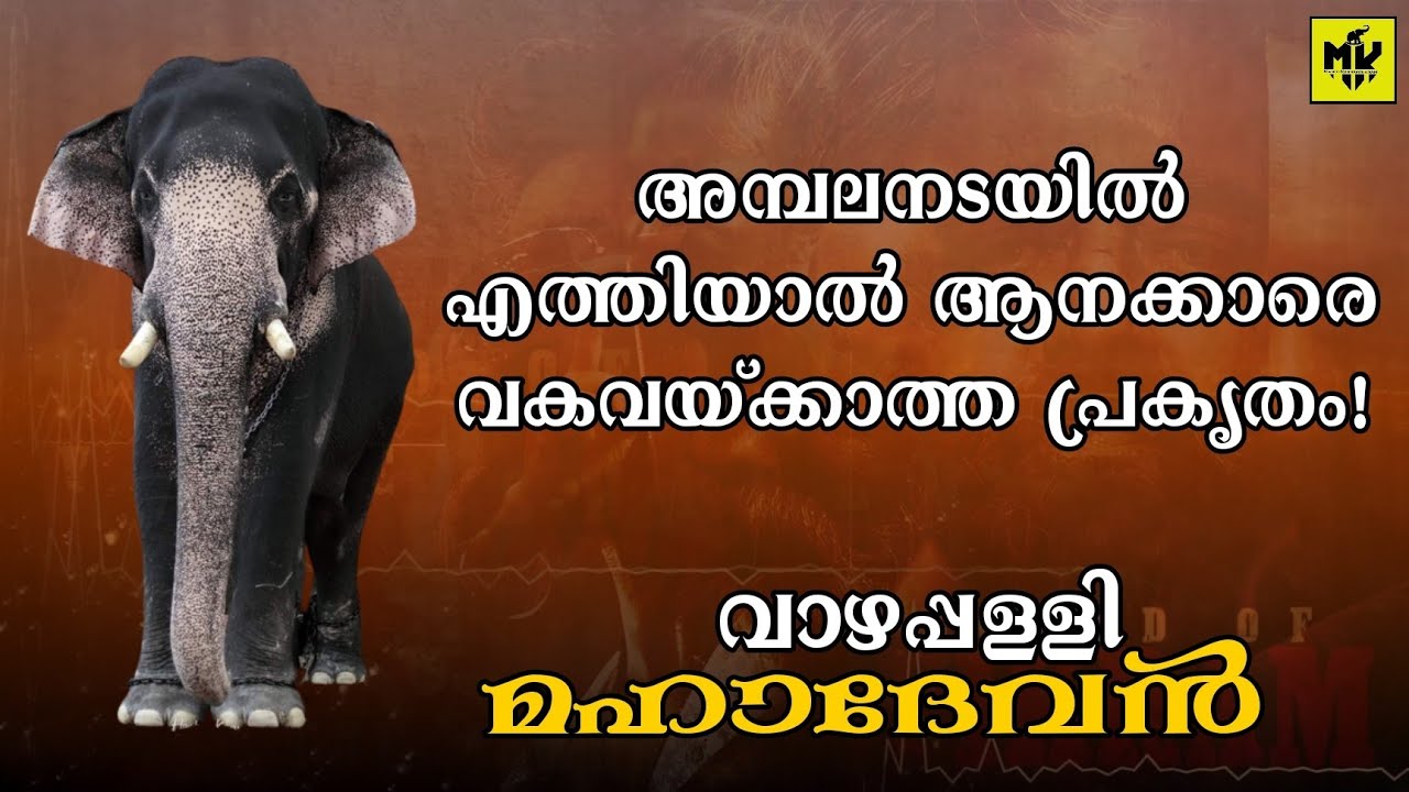 കോട്ടയത്തിന്റെ ഭാവി താരമായി വാഴപ്പള്ളി മഹാദേവൻ 🔥