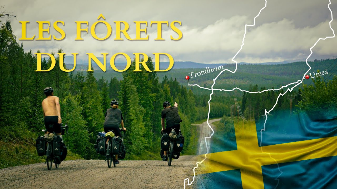 07 | Perdus dans les forêts scandinaves (la Suède à vélo)
