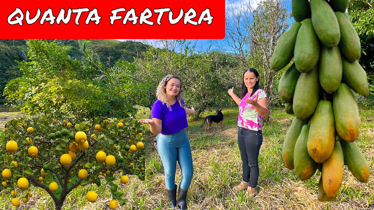 NINGU&Eacute;M IMAGINAVA QUE NO S&Iacute;TIO DA CAMILE MOTA TINHA TUDO ISSO 
