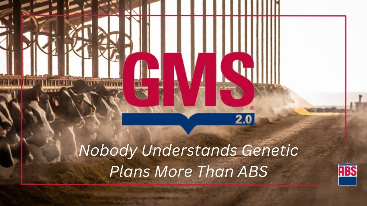 ABS GMS 55: Nobody Understands Genetic Plans More Than ABS