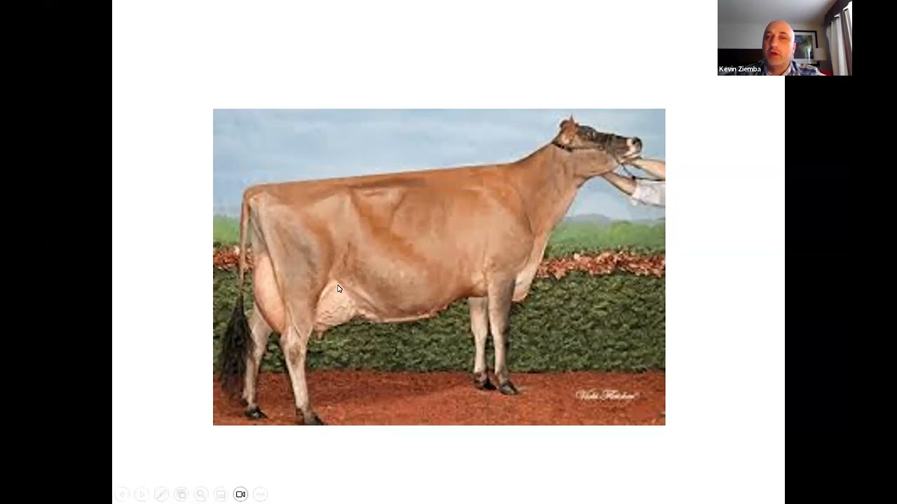 2024 4-H Dairy Judging