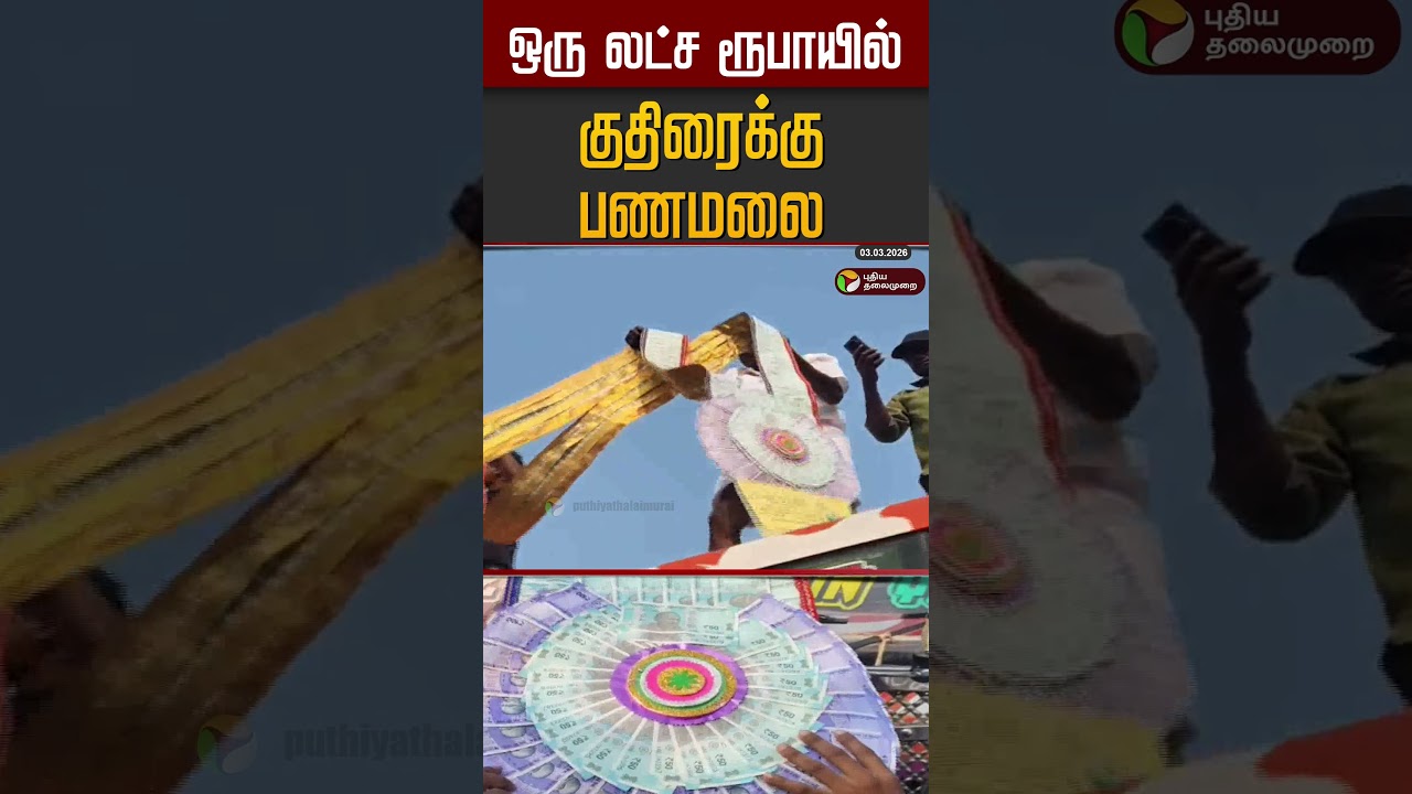 ஒரு லட்ச ரூபாயில் குதிரைக்கு பணமலை #shorts