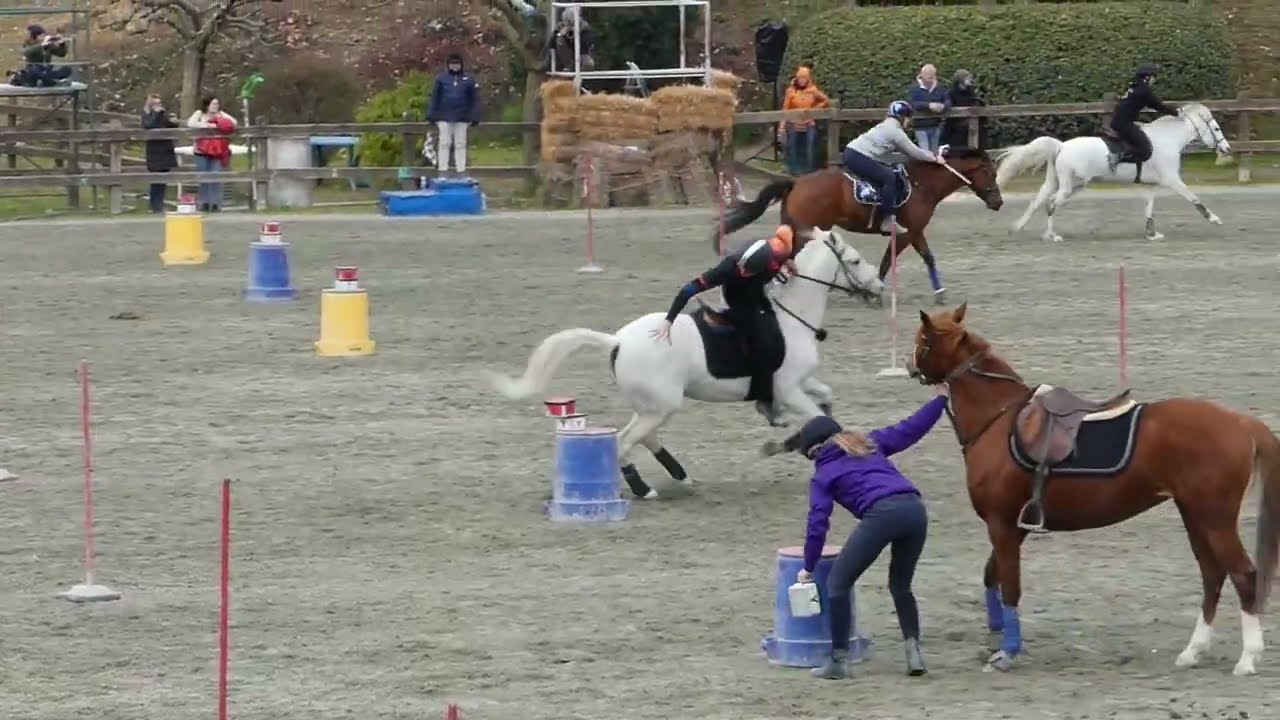 mounted games - 2 tappa 4 regioni - Dell'Alba xXx