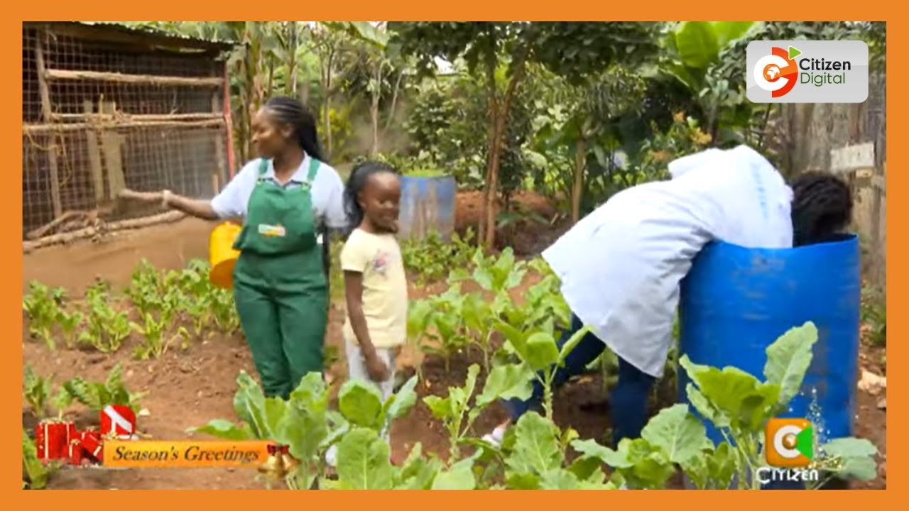 | KENYA'S GOLD | Agri-Nation: Kitchen Garden