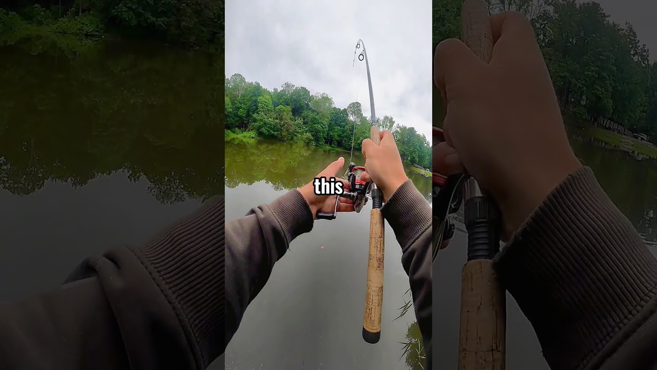 Fishing with bread! Can I break the state record carp?? #fishingmethods #bassfishing #carpfishing