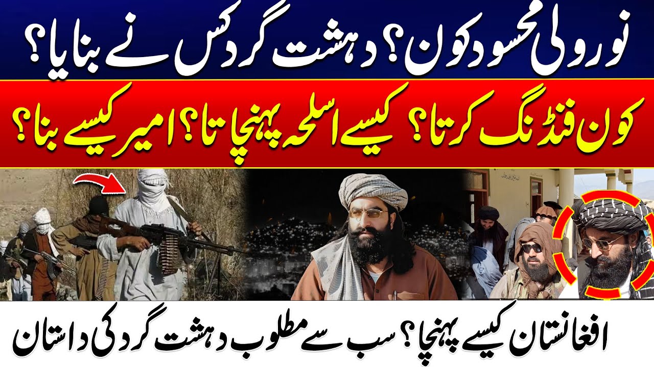 Who Is Noor Wali Mehsud? - The Untold Story of Afghanistan's Most Wanted Terr*rist - 24 News HD